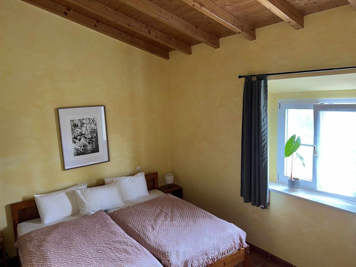 Casa Presente Guesthouse كاراباتيرا المظهر الخارجي الصورة